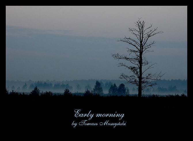 Early morning