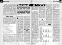 Professional File System